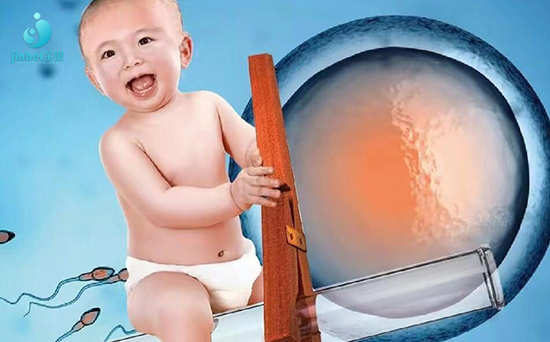 泰国供卵试管婴儿